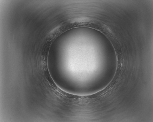 X0000060781062200511101334