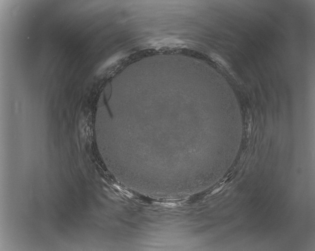 X0000060781063200511101334