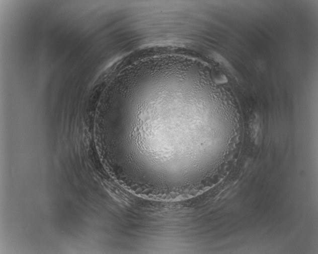 X0000060781064200511101334