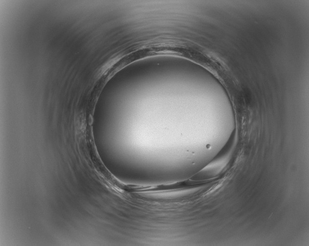 X0000060781065200511101334