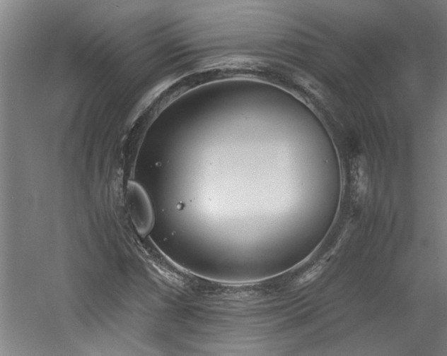 X0000060781066200511101334