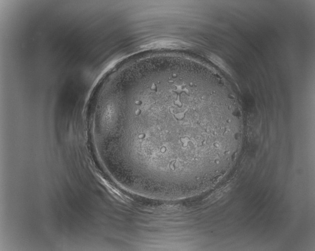 X0000060781067200511101334