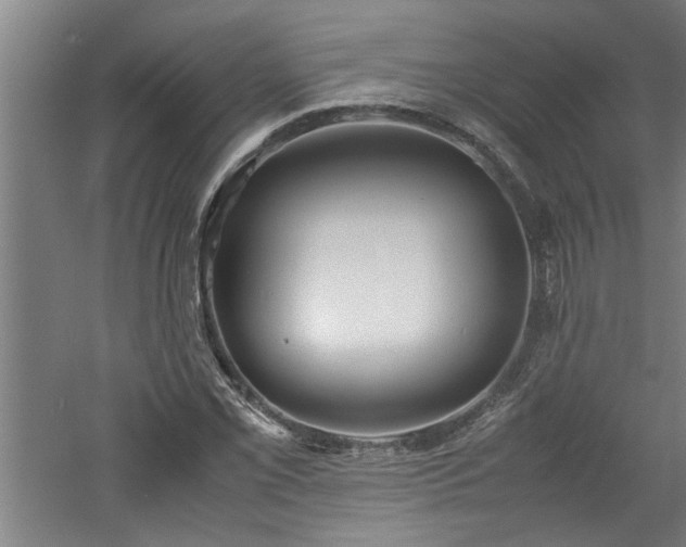 X0000060781069200511101334