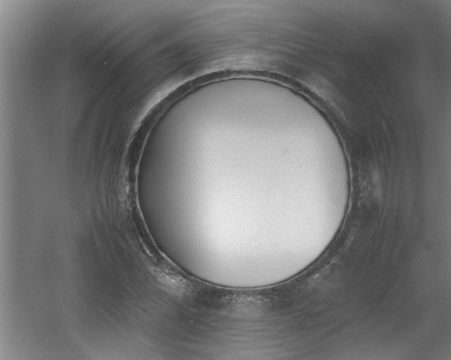 X0000060781070200511101334