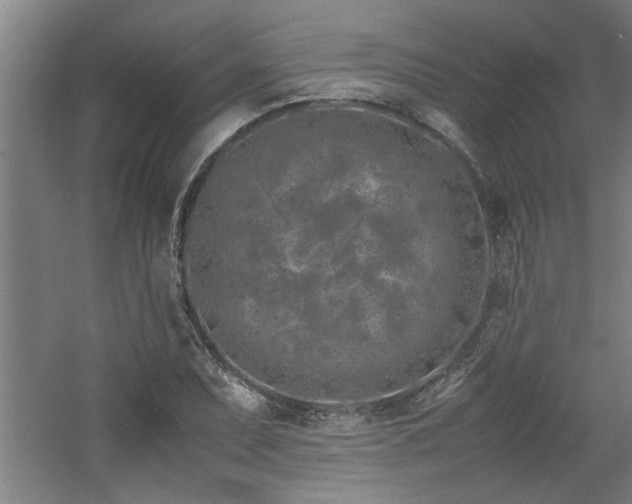 X0000060781071200511101334