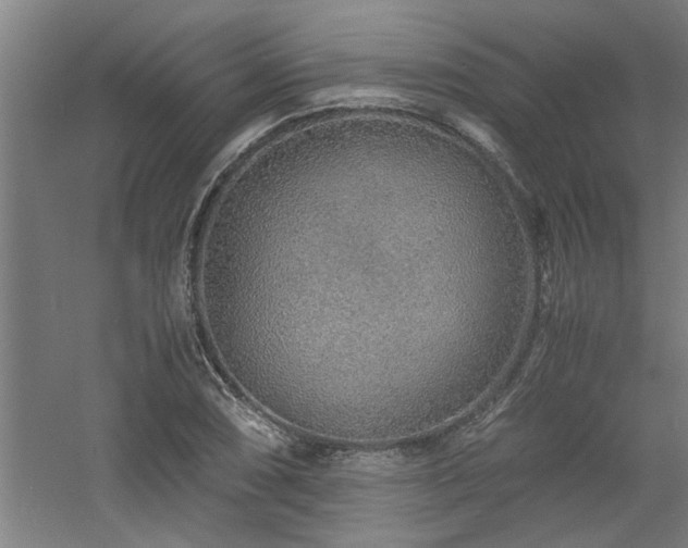 X0000060781074200511101334