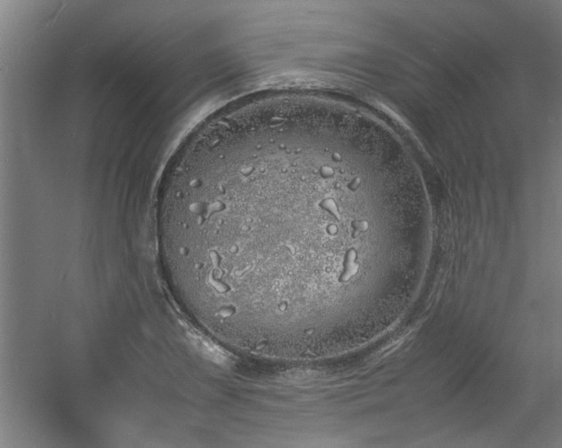 X0000060781075200511101333