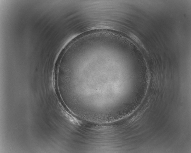 X0000060781076200511101333