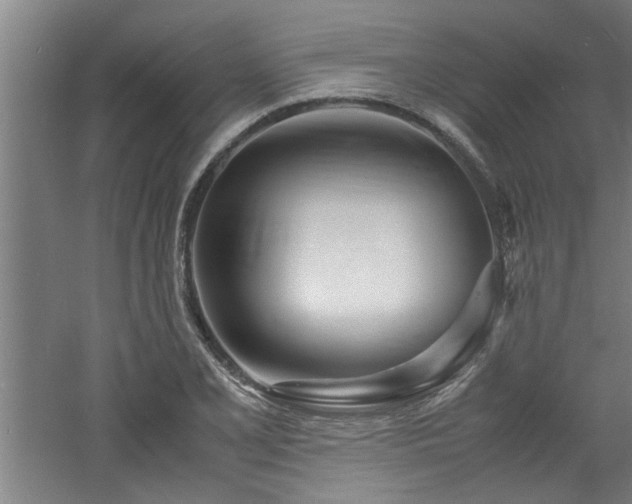 X0000060781077200511101333