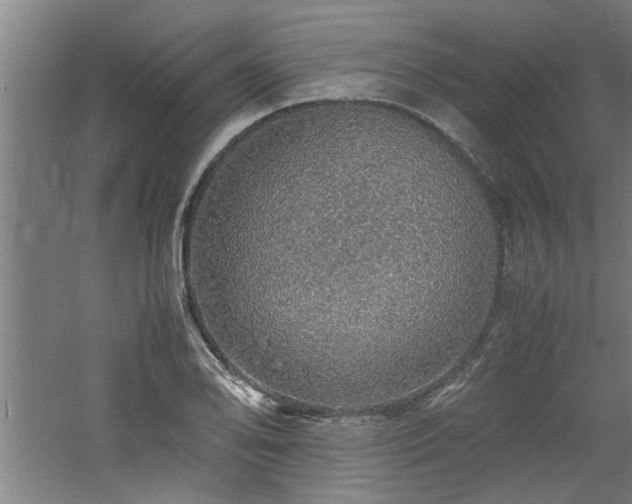 X0000060781078200511101333