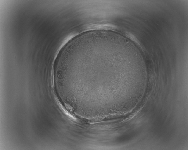 X0000060781079200511101333