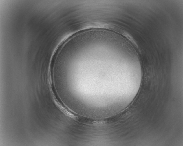 X0000060781080200511101333