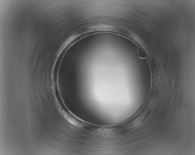 X0000060781082200511101333