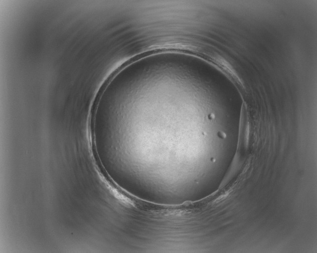 X0000060781084200511101333