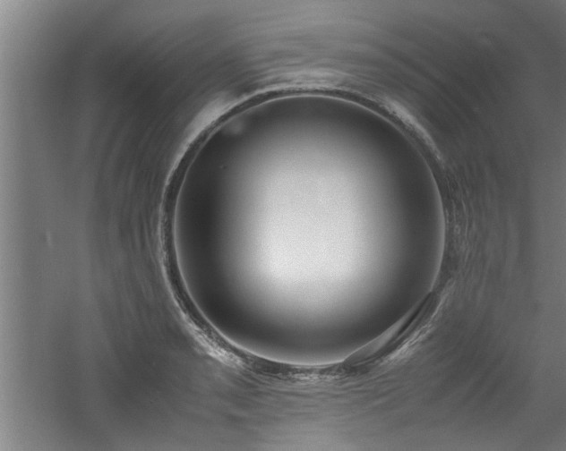 X0000060781085200511101333