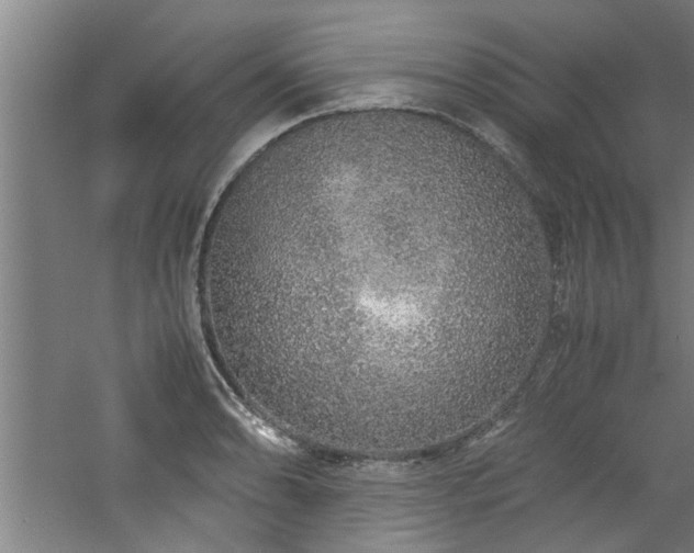 X0000060781086200511101333