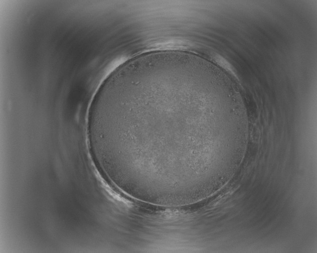 X0000060781087200511101333