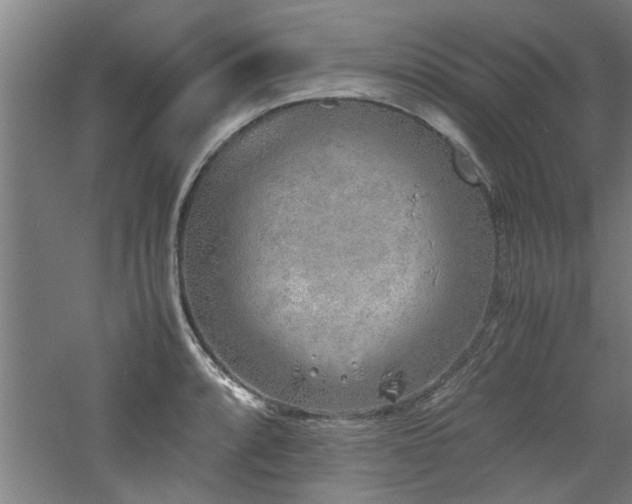 X0000060781088200511101333