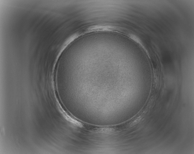 X0000060781090200511101333