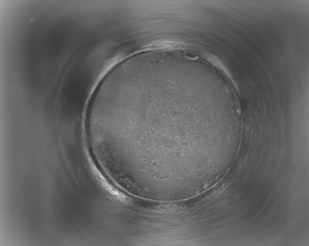 X0000060781091200511101333