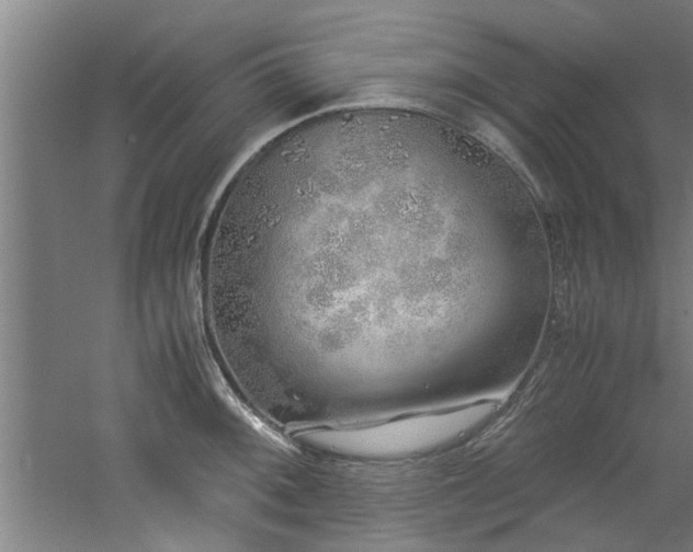 X0000060781092200511101333