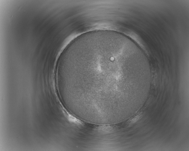 X0000060781094200511101333