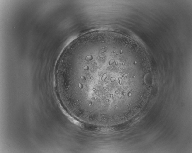 X0000060781095200511101333