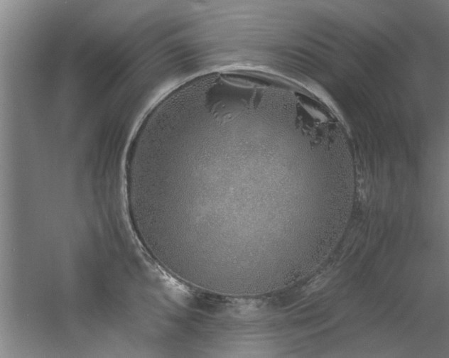 X0000060781096200511101333