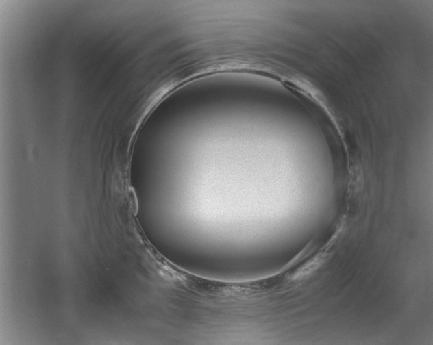 X0000060781097200511101333