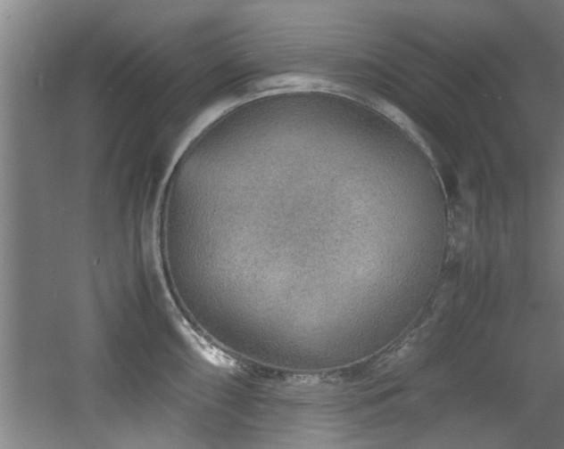 X0000060781098200511101333