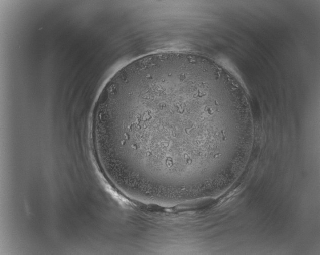 X0000060781099200511101333