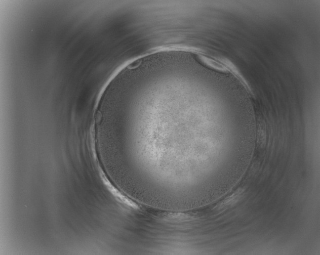 X0000060781100200511101333