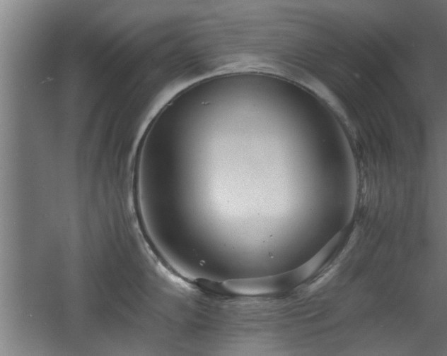 X0000060781102200511101333