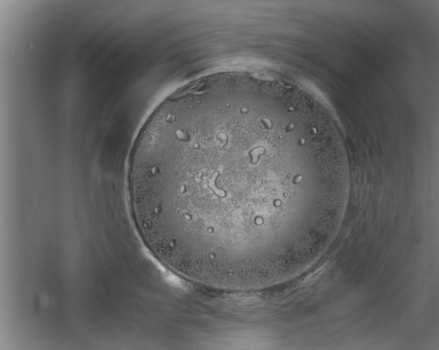 X0000060781103200511101333