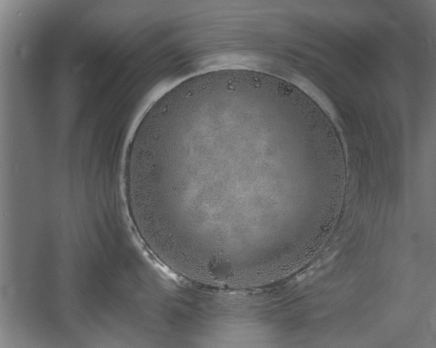 X0000060781104200511101333