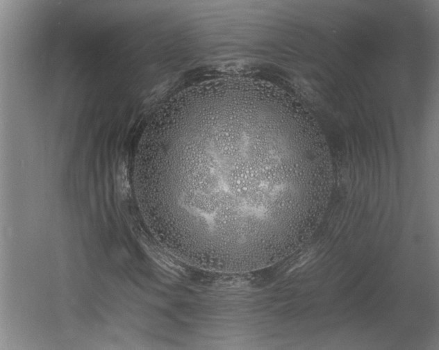 X0000060781106200511101332