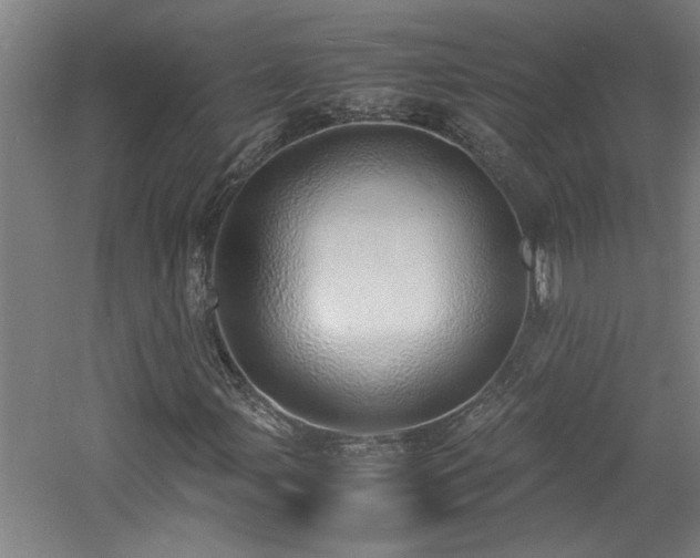 X0000060781107200511101332