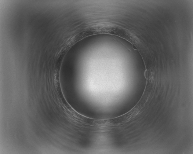 X0000060781108200511101332