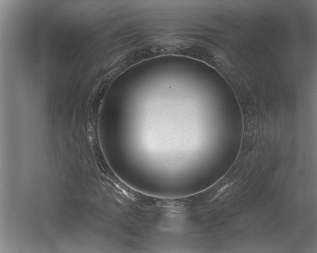 X0000060781109200511101332