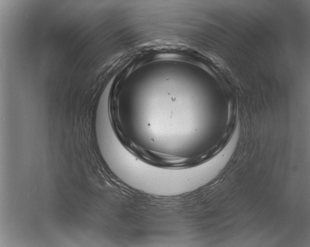 X0000060781110200511101332