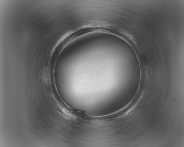 X0000060781114200511101332