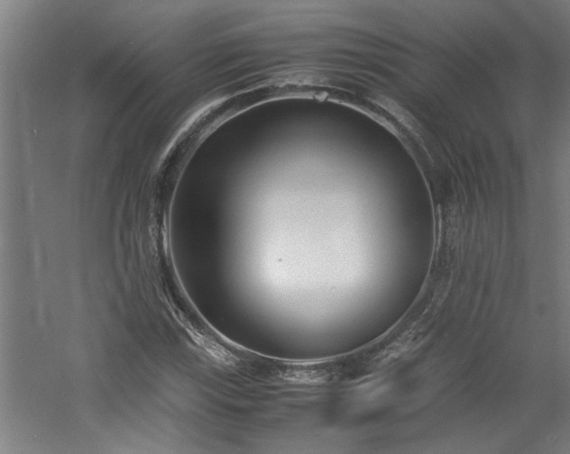 X0000060781115200511101332
