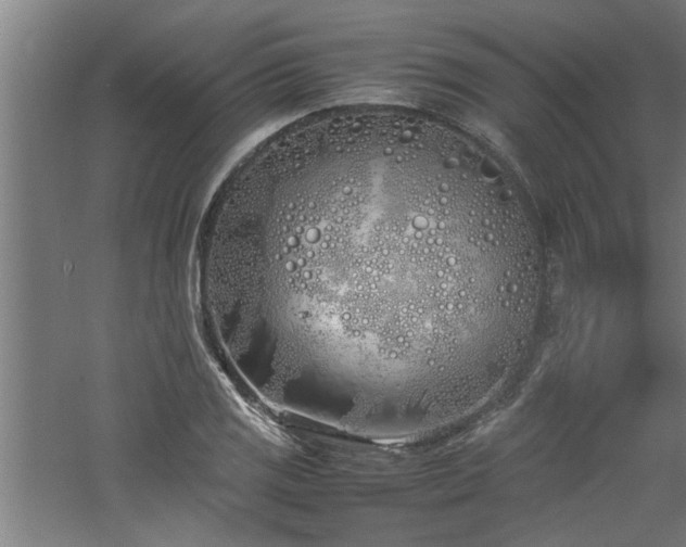 X0000060781125200511101333