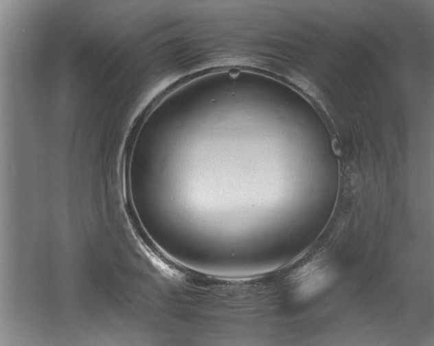 X0000060781127200511101333