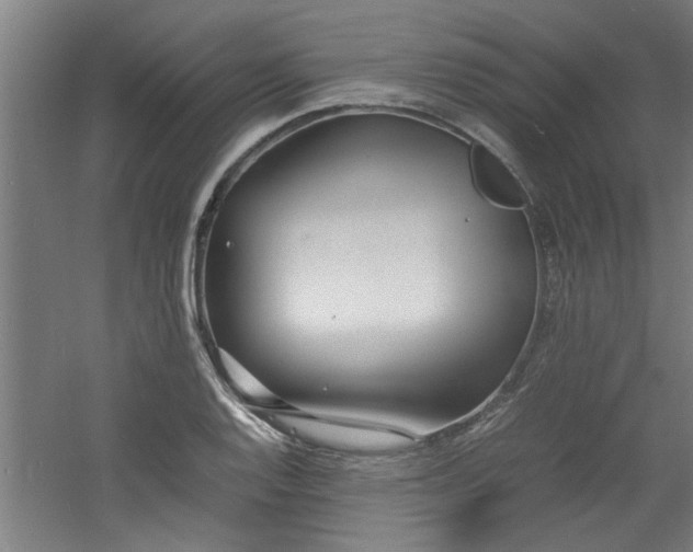 X0000060781128200511101333