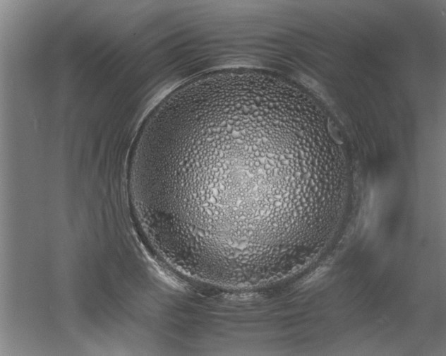 X0000060781129200511101333