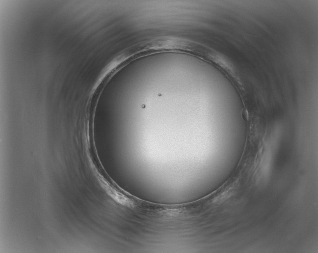 X0000060781130200511101333