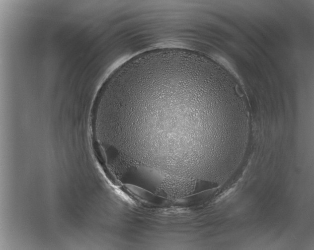 X0000060781133200511101333