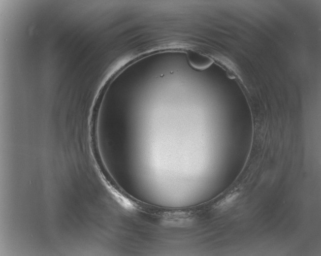 X0000060781135200511101333