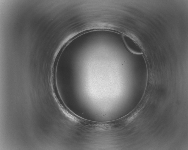 X0000060781136200511101333